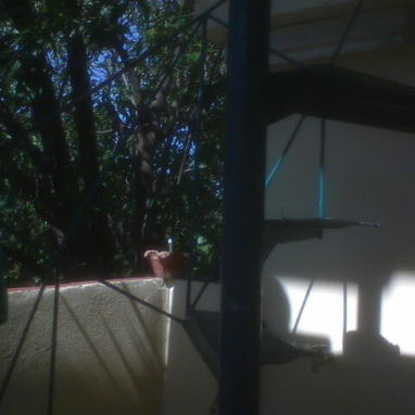 Oportunidad en venta en Guanabacoa - 7/8