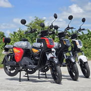 Bicimoto fénix bateriabde litio 48v x30 am autonomía de 100 km por carga Precio 1450 usd Nuevo precio‼️‼️‼️ - Img 57584658