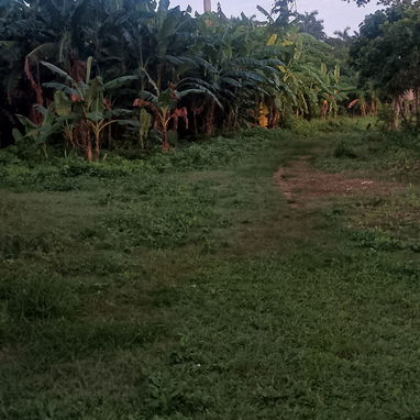 Se vende finca en en el sierra maestra municipio Boyeros - Img 125798101