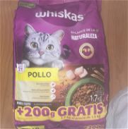 Pienso para gato wiskas oferta - Img 45747407