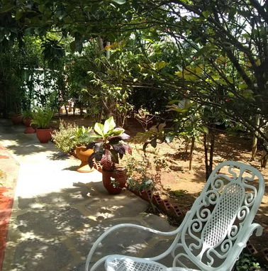 Alquiler de habitaciones disponibles en Viñales con ofertas de excursiones.54026428 - Img 50758057