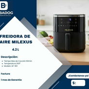 Freidora de aire Milexus 4.2 L - Img 56352255