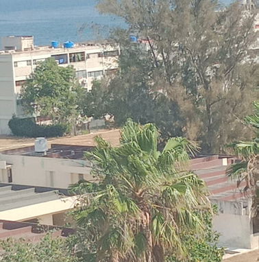 Permuto apto de dos hab,en el Camilo cienfuegos ++2500 usd x apto vedado bajos o 1 er piso - Img 94795041