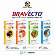 BRAVECTO original para perros / Protección contra pulgas y garrapatas - Img 56381400