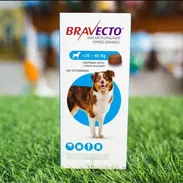 Bravecto - Img 52895561