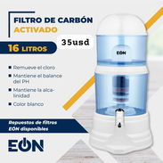 Filtro de carbón.... - Img 55103723
