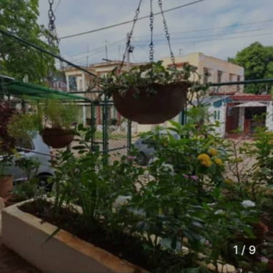Ref # 13.En oferta!! Preciosa casa independiente con 4 cuartos, garaje y patio . Aproveche e invierta!!! - 7/10