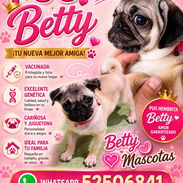 (( PUG CARLINO CACHORRITA HEMBRA EN VENTA BETTY MASCOTAS WHATSAPP 52506841 )) - Img 54821842