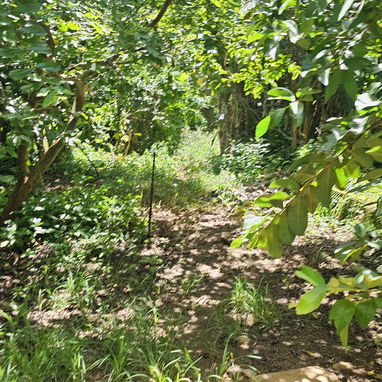 En venta finca en jovellanos con casa de mampostería - Img 124509193