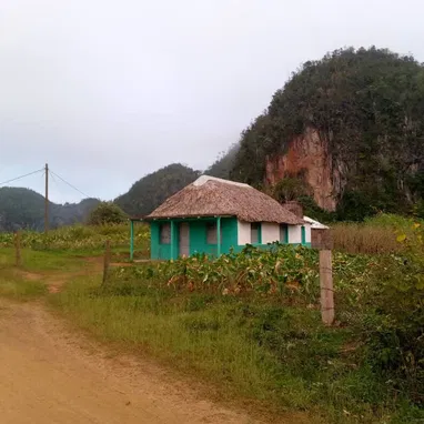 Finca - 4/5