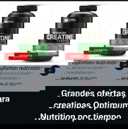 Creatinas y suplementos - Img 47328895