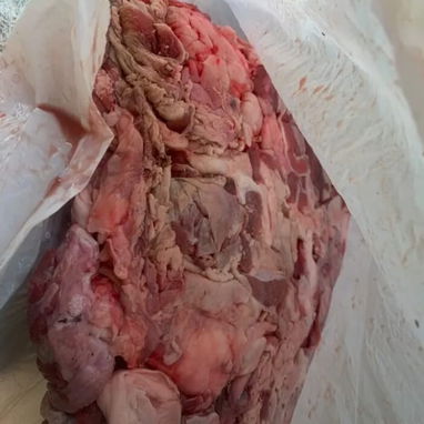 Carne de res molida para perros - Img 124928188