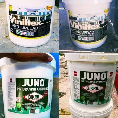 PINTURA VINIL - Img 123512266