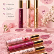 Perfumes - Img 58310019