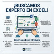 Experto en Excel - Img 56856076