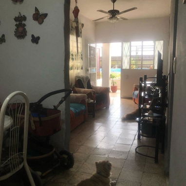 🏡 Casa independiente en La Víbora – 10 de Octubre - Img 115041849