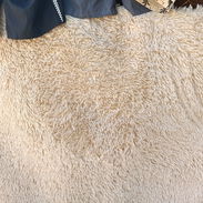 Sé vende alfombra grande para piso de pelos largos de 120 x 200 CM - Img 56352215
