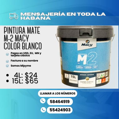 馃帹 PINTURAS DE VINIL DE VARIOS MODELOS PARA DECORAR INTERIORES Y EXTERIORES 馃 BLANCO 馃敶 DESDE LOS 18 USD HASTA LOS 78 - Img 114704265