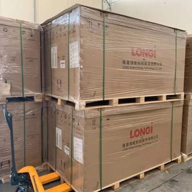 PANELES LONGI 615W..BIFACIALES - 4/4