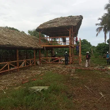 Contruccion de ranchones de madera y yuraguano - 10/10