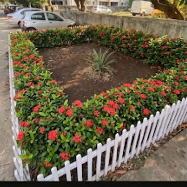 Servicio de jardinería 👩🏼‍🌾 - Img 124722386