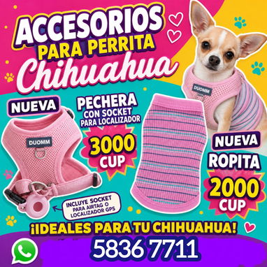 Accesorios para Perritos - Img 124767445