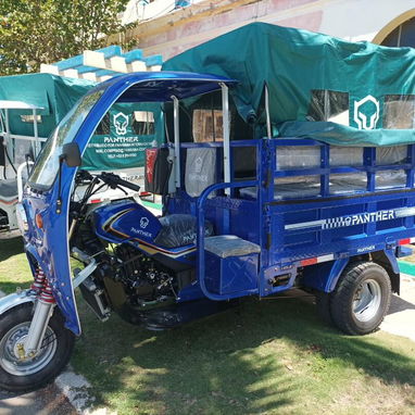 Triciclo de combustion original 250cc - 3/3