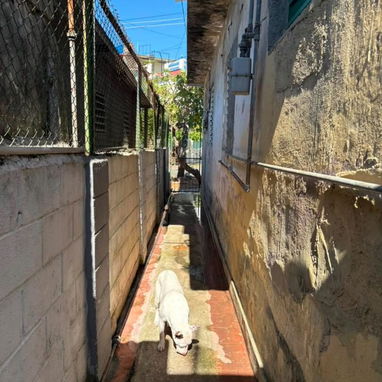 Se vende esta casa 🏡 - Img 125258753
