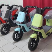 Moto - Img 55746278