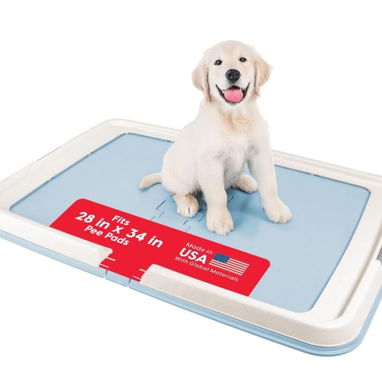 Soporte Para Mascotas - Img 119786598