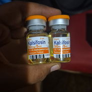 Kalsifosin en bulbo - Img 57641088