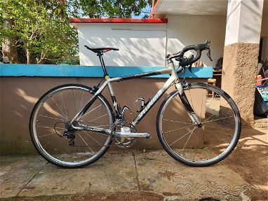 Se vende bicicleta Specialized Roubaix talla 52 - Img main-image-45855007