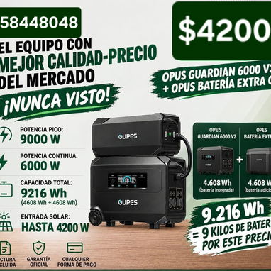 Paneles solares y ECOFLOW - 3/4
