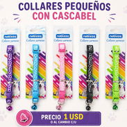 Collares pequeños con cascabel - Img 55027683