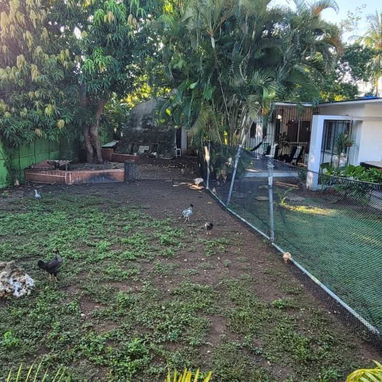 Siboney playa ‼️‼️‼️🏡 - Img 115421926