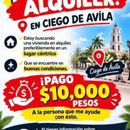 Busco alquiler - Img 57811620