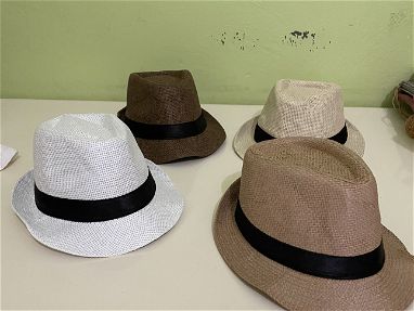 Sombreros panameños y otros - Img 66807865
