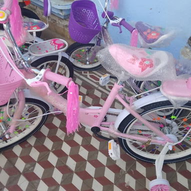 🚲 Bicicletas #14 y 16 - Img 125223639