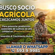 Date la oportunidad de crecer junto a nosotros - Img 57300026