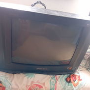 Tv Panda - Img 57483664