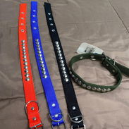 Collares y correas para perros - Img 55982332