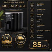 Freidora Melixus 4.2 lt - Img 57100144