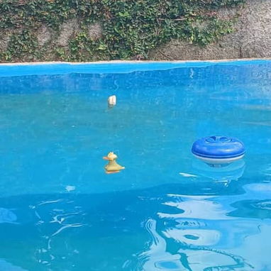 🍽️ Casa de 1 Cuarto con Piscina y Generador eléctrico en Viñales REF 1410 - Img 110081540