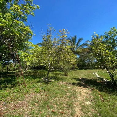 FOR SALE | 2-HECTARE FREEHOLD PROPERTY | HAVANA, CUBA - Img 125694209