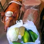 Comida criolla con tamales - Img 56724153