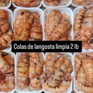 Venta de pescado y mariscos Habana - Img 57058252