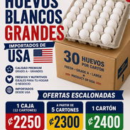 Huevos blancos - Img 56250886