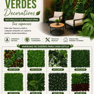 Césped decorativos 🤗 - Img 56399296