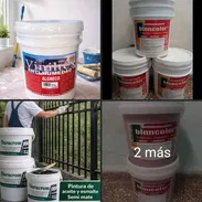 Pintura 🎨 para Embellecer su hogar - Img 55211406
