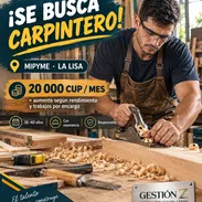 Buscamos carpintero para finca en la lisa - Img 57591001